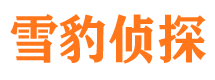 黎平市侦探调查公司